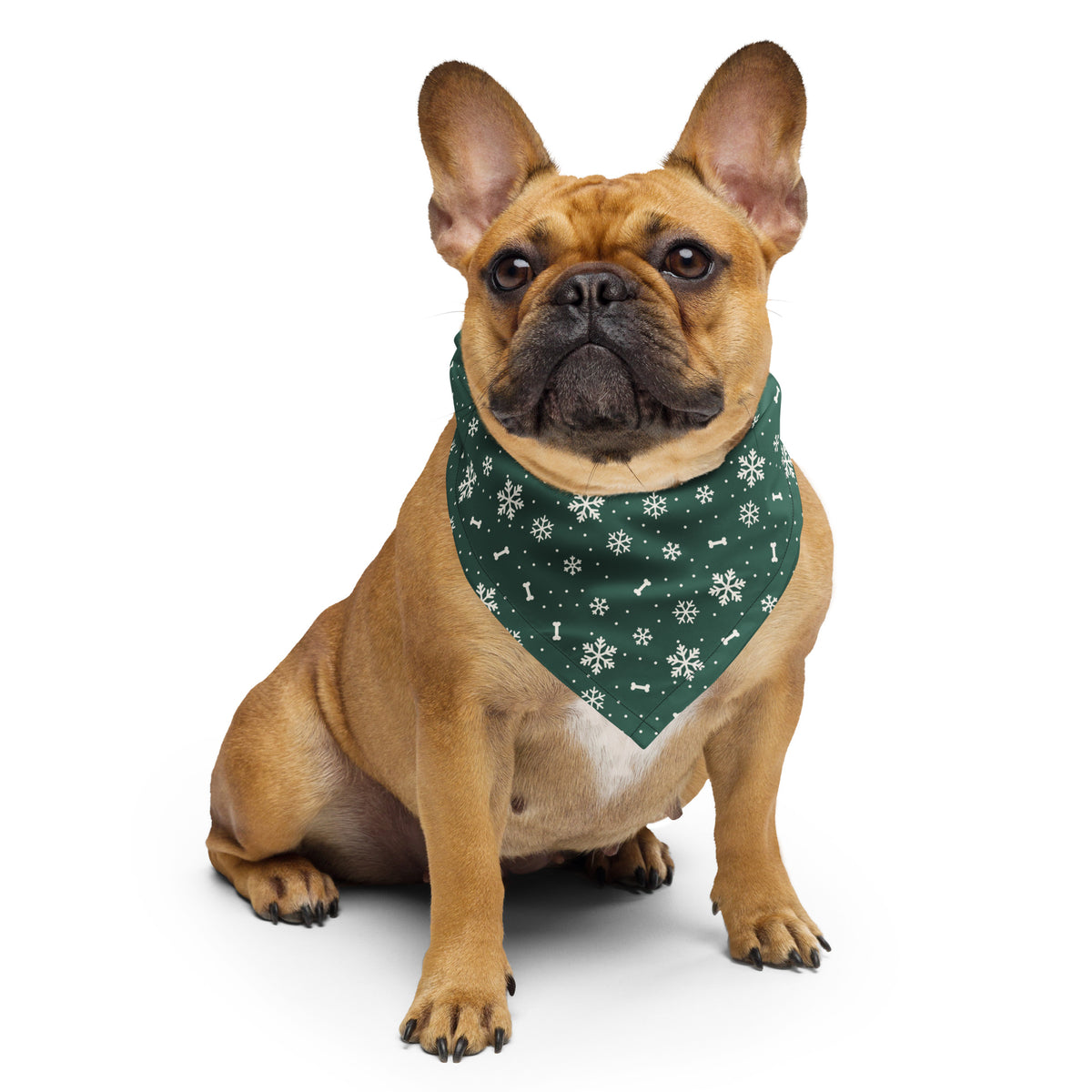 Winter Snowflake Dog Bandana – French bulldog wearing it