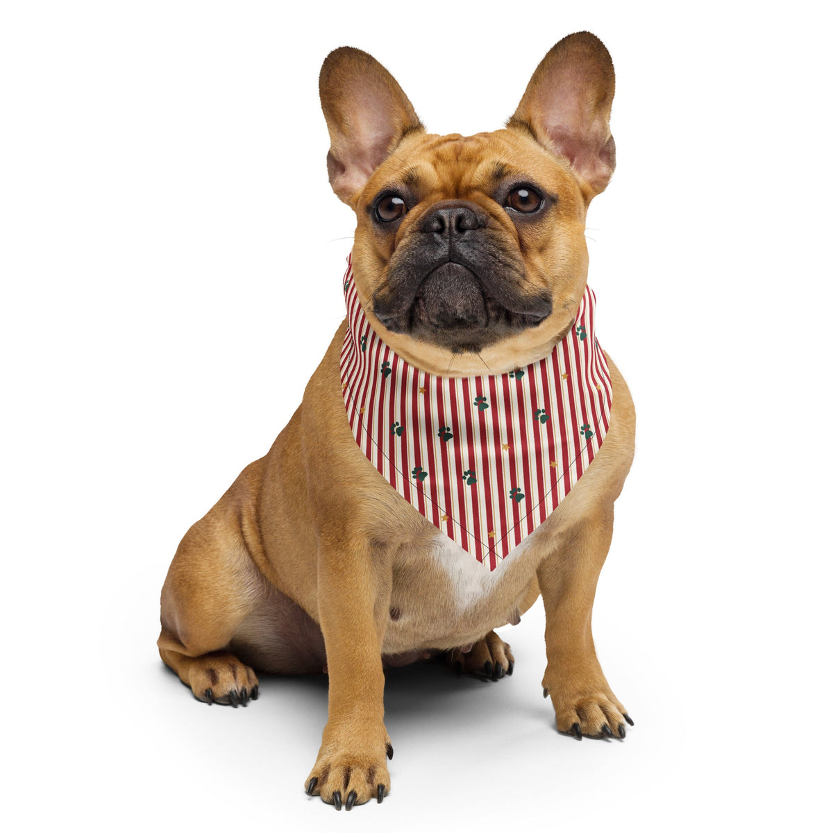 Candy Cane Lane Dog Bandana – French bulldog wearing it