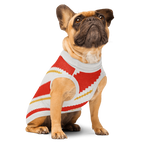 French bulldog wearing the Candy Cane Lane knitted dog sweater