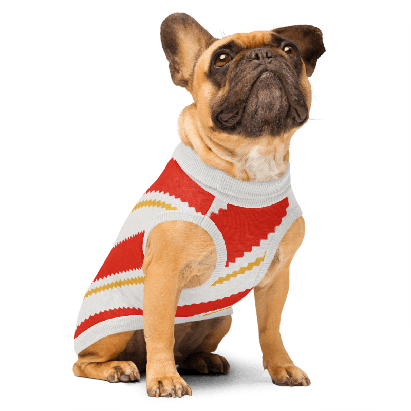 French bulldog wearing the Candy Cane Lane knitted dog sweater