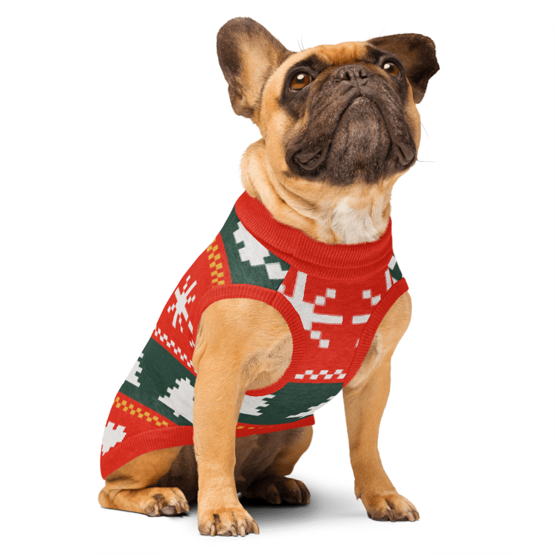 French bulldog wearing the Fair Isle Sweater Paws knitted dog sweater
