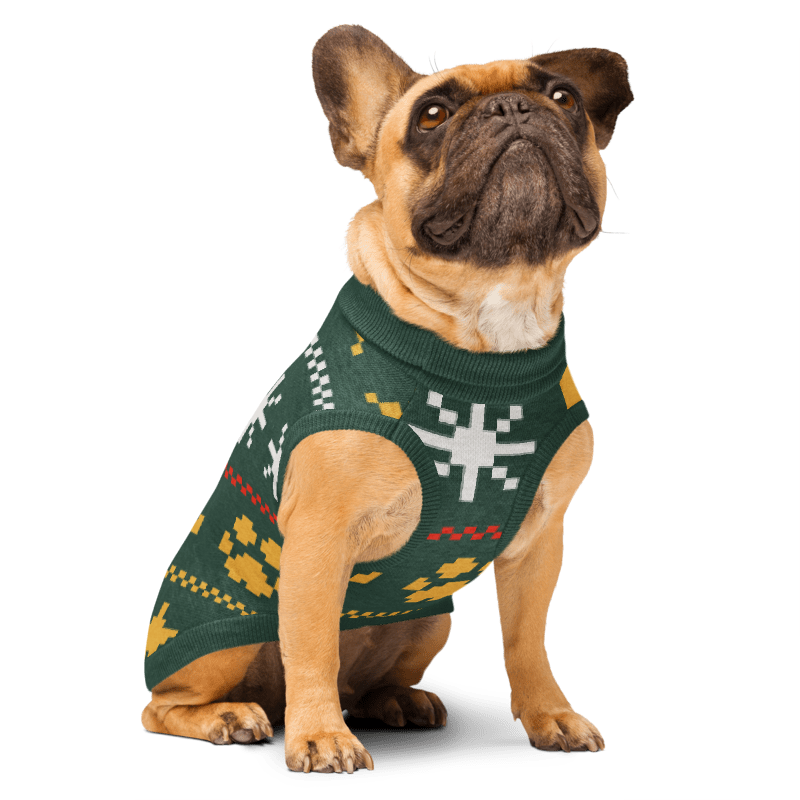 French bulldog wearing the Midnight Stars knitted dog sweater