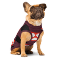 French bulldog wearing the Red Buffalo Plaid Paws knitted dog sweater