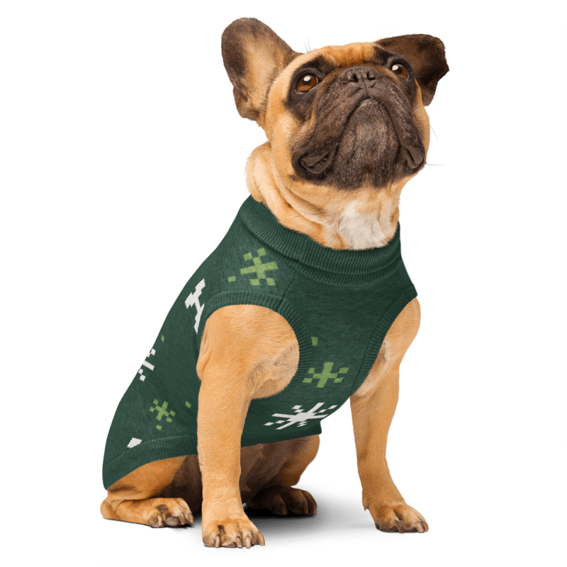 French bulldog wearing the Winter Snowflake knitted dog sweater
